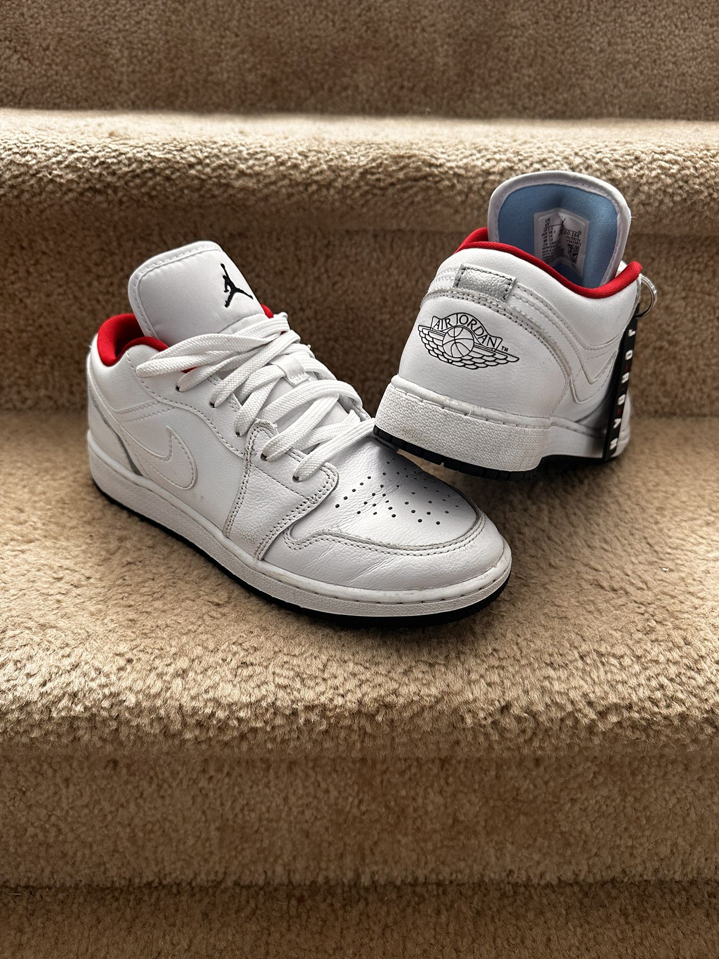 Air Jordan 1s Low Youth 6