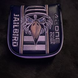 Jailbird Ai-one Milleo cruiser 