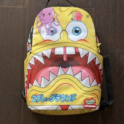 Spray ground Backpack 