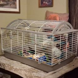 Large Guinea pig cage and lots of food and treats
