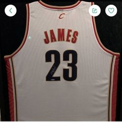 Lebron James autograph jersey UD Authentic