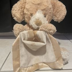 Peek - A - Boo Teddy