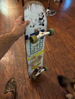 Skate board
