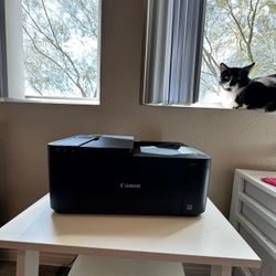 Canon PIXMA TR4722 Printer