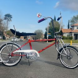 Lowrider Bike 16’ Custom Build