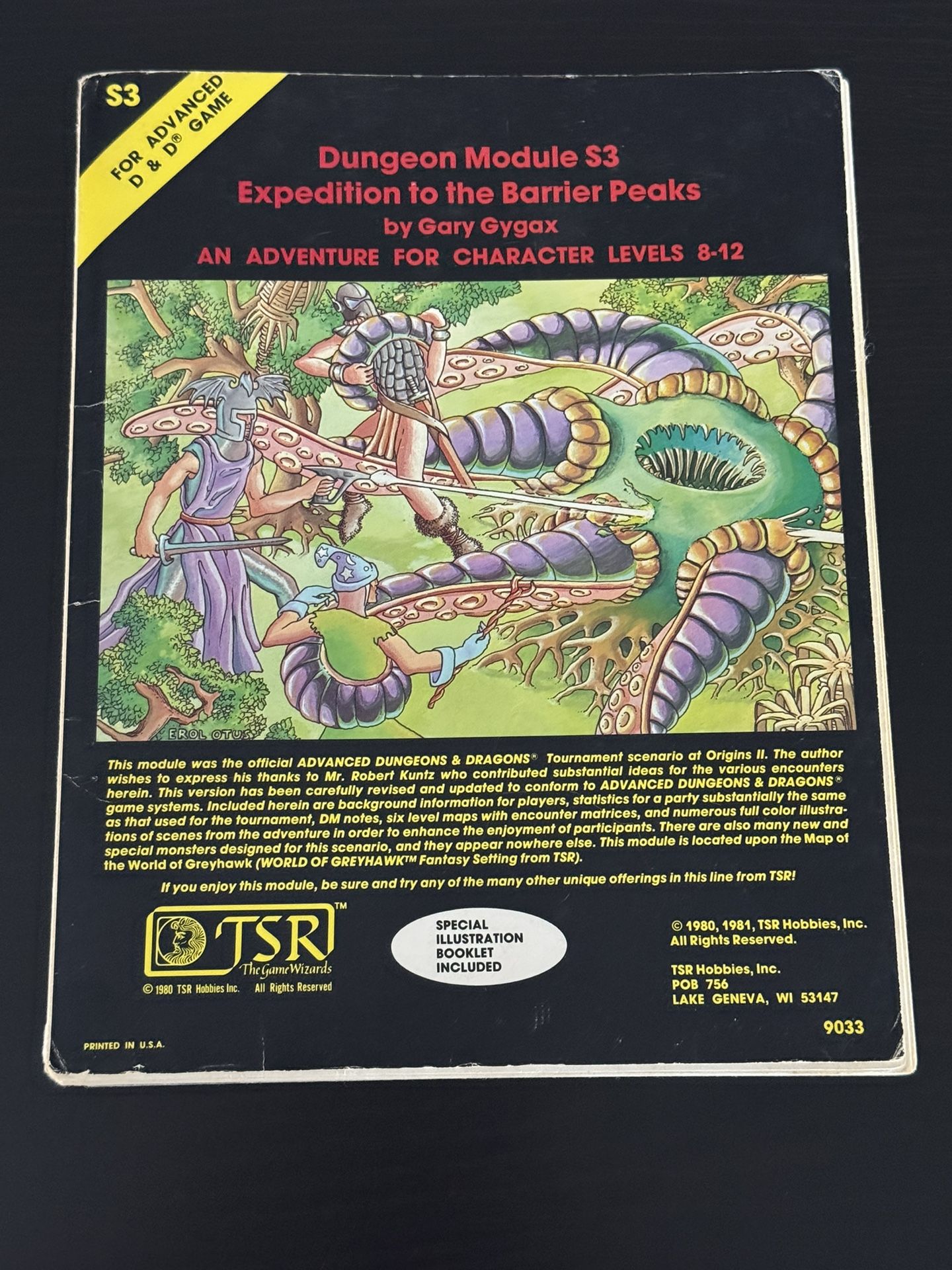 Dungeons & Dragons Module S3 - Expedition to the Barrier Peaks 1980 TSR#9033