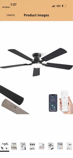 Black Ceiling Fan with Light and Remote