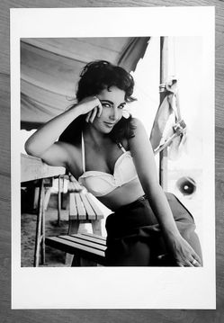 Frank Worth Elizabeth Taylor Giant 1955 12x18 Lithograph COA Complete Set