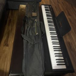 Full Size 88 key Electric Piano Keyboard /w bag and pedal