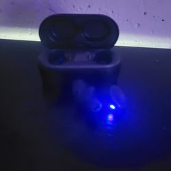 Skull Candy Sesh Evo Wirless Ear Buds 