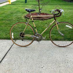 Motobecane Road Bike 