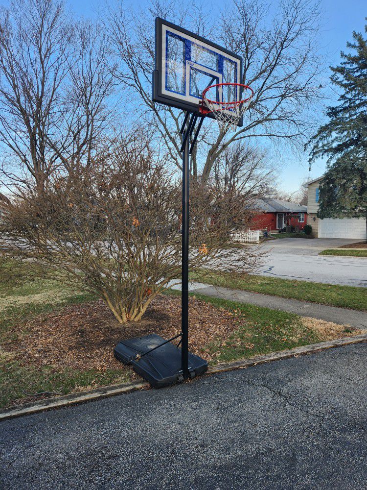 Lifetime Basketball Hoop Adjustable