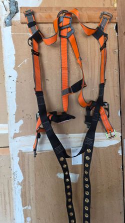 Safety harness