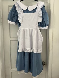 Plus Size Alice Costume