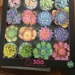 New Puzzle   Unopened 