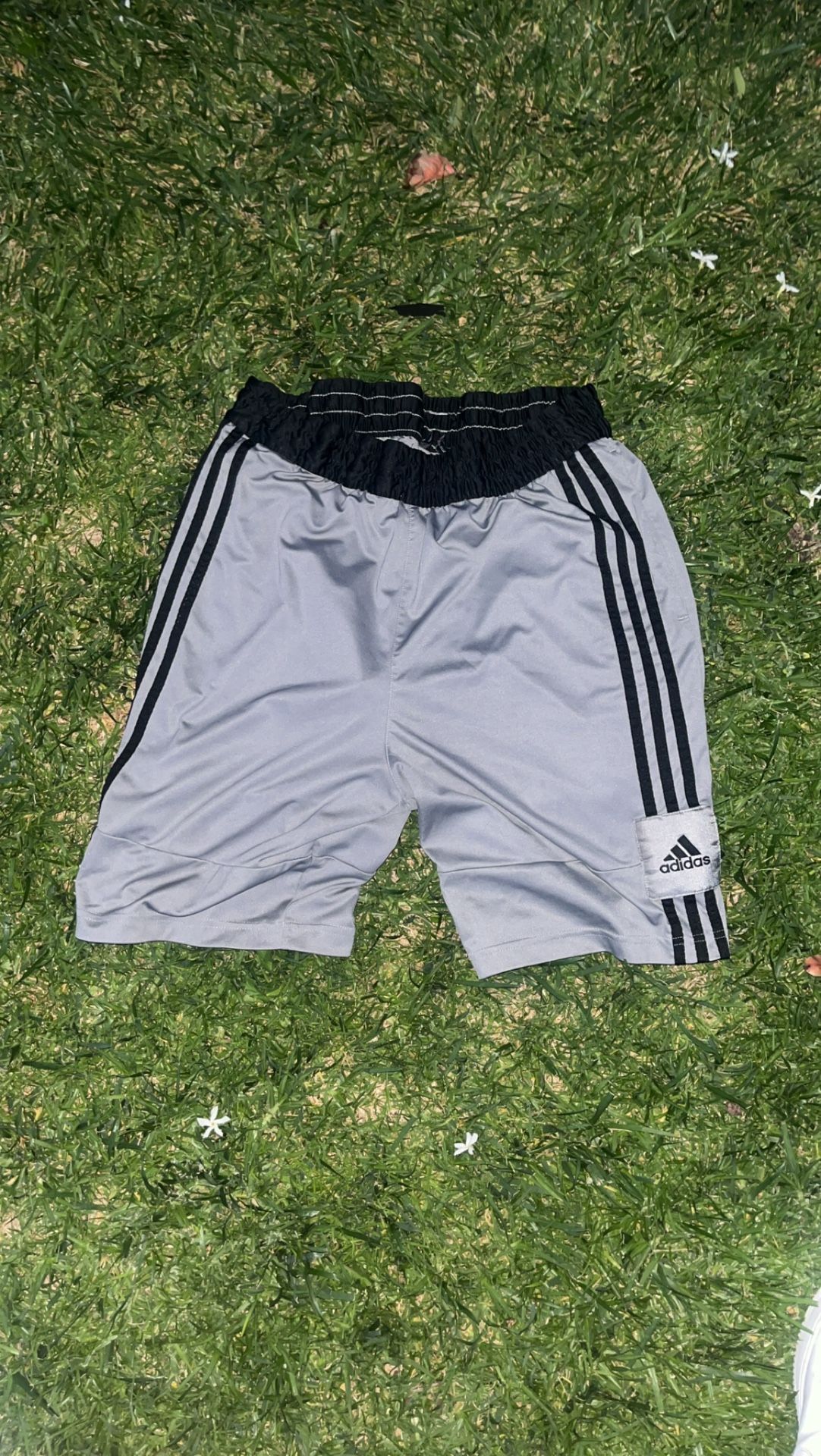 Adidas Shorts Size Large