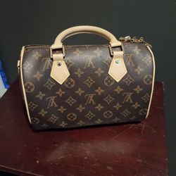 Louis Vuitton Speedy Bandoulière Handbag