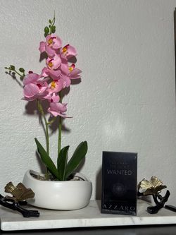Azzaro The Most Wanted EDP Intense 100ml
