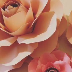 Paper Flowers - Flores de Papel (Cartulina)