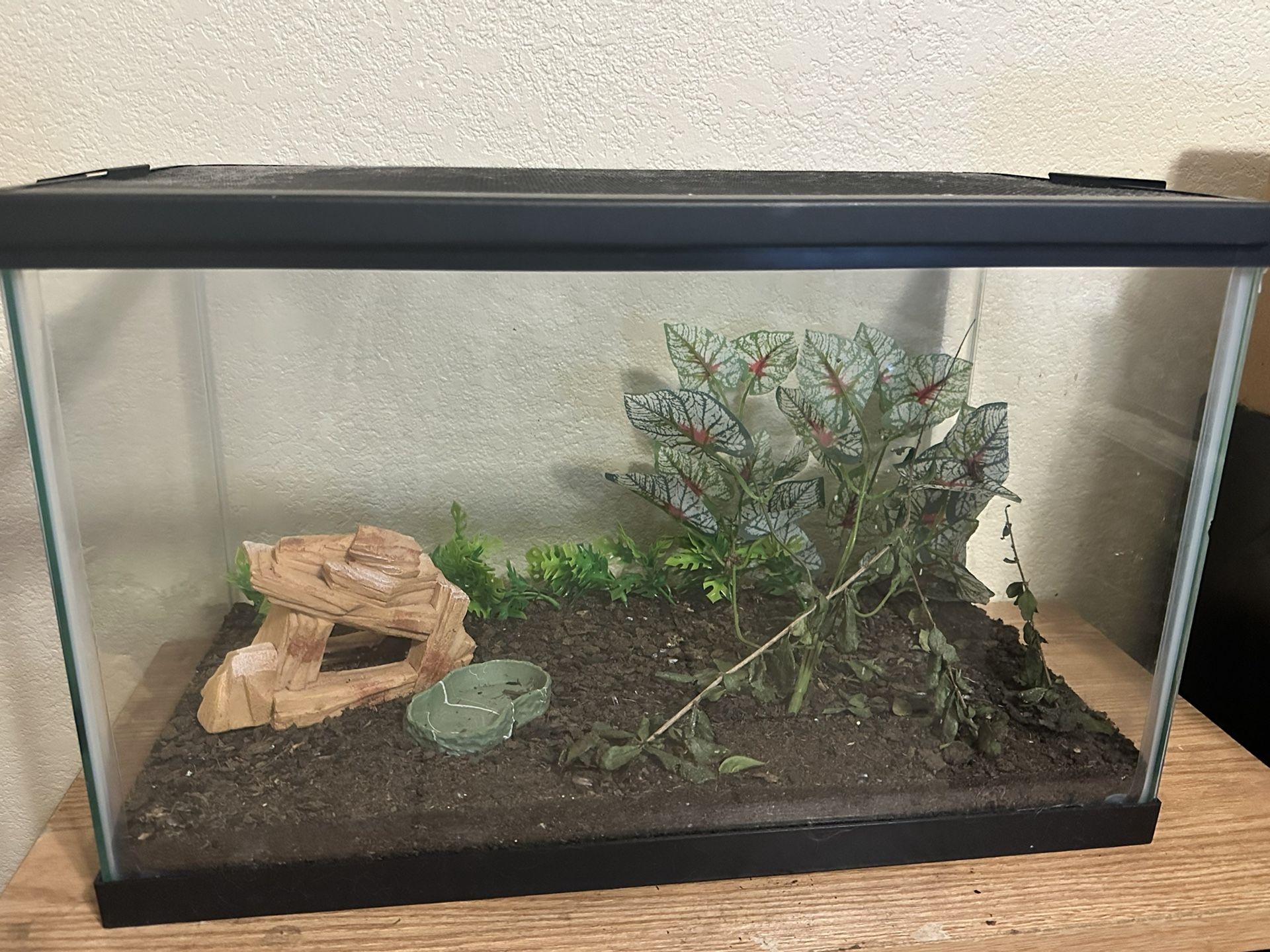 Terrarium