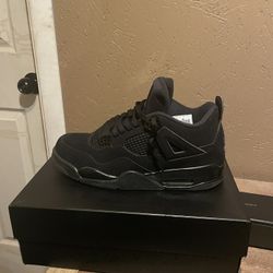 Black Cats 