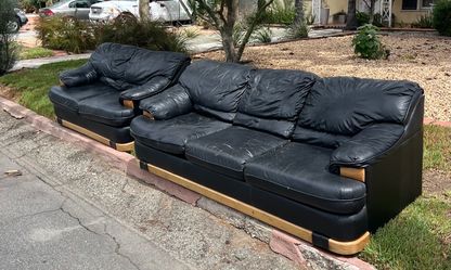 Free leather couches