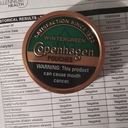 Copenhagen Wintergreen Pouches