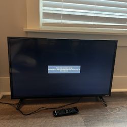 30” X 18” VIZIO Flat screen