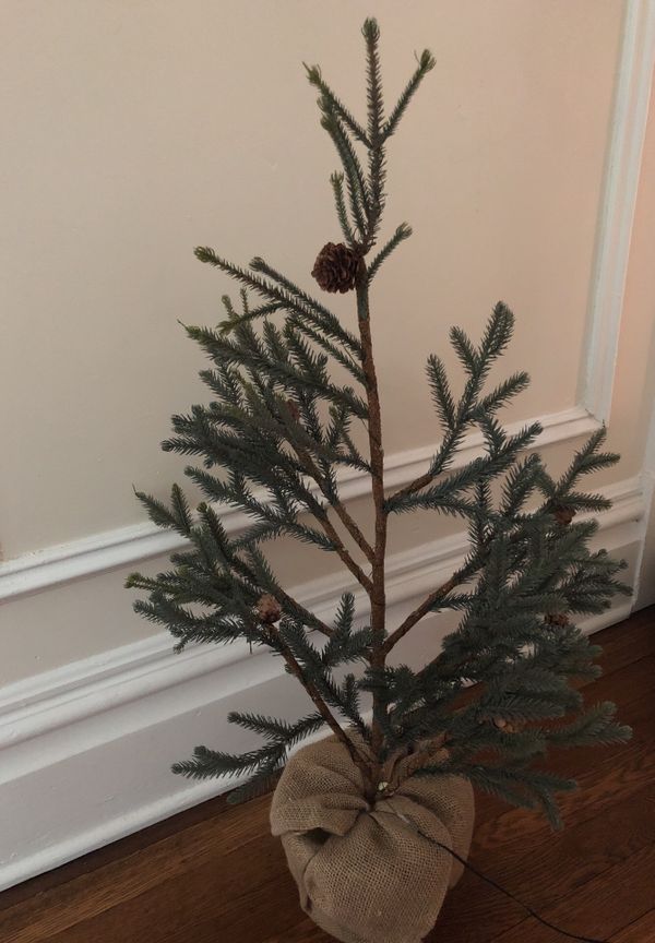 pottery barn charlie brown christmas tree household in sewickley pa offerup - Charlie Brown Christmas Tree For Sale pottery barn charlie brown christmas tree household in sewickley pa offerup - Charlie Brown Christmas Tree For Sale