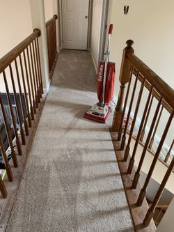 The Carpet