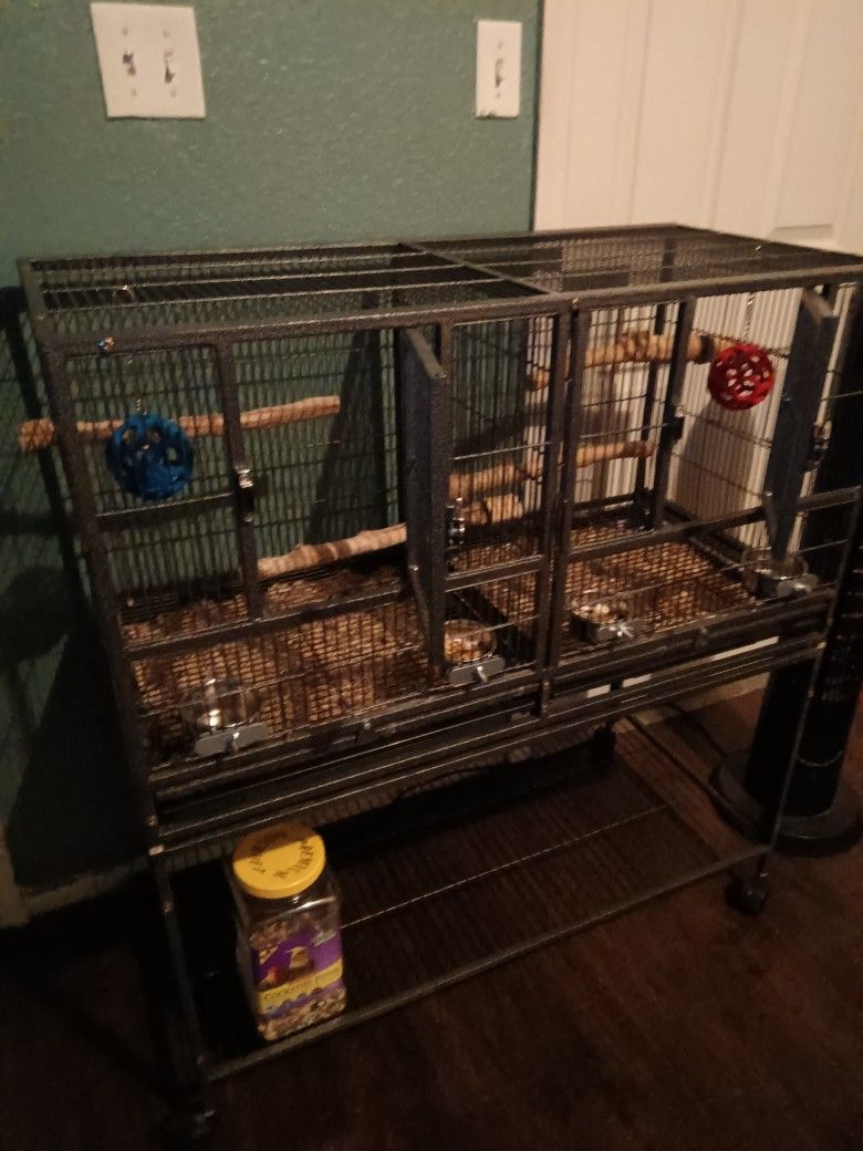 Bird Cage