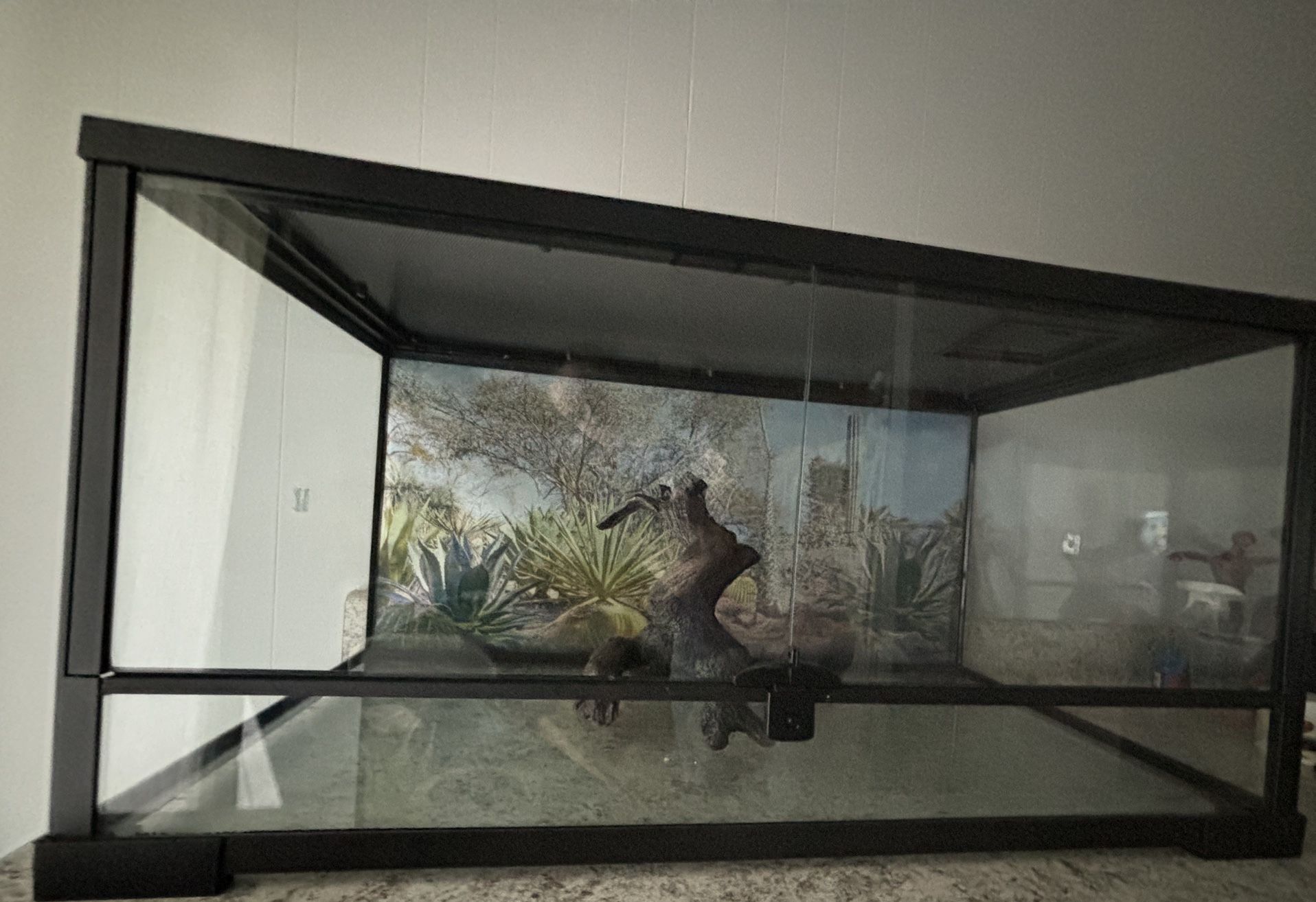 40 Gallon Terrarium