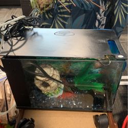 5 Gallon Fish Tank