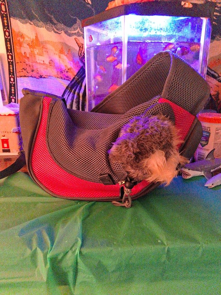 Pet Carrrier Bag/ Purse. Crossbody. $10. Good Condition.
