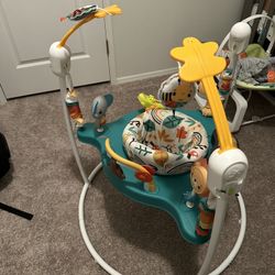 Baby Bouncer