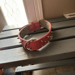 Dog Collar