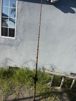 Cal star 100j jigstick Penn fathom 25n combo