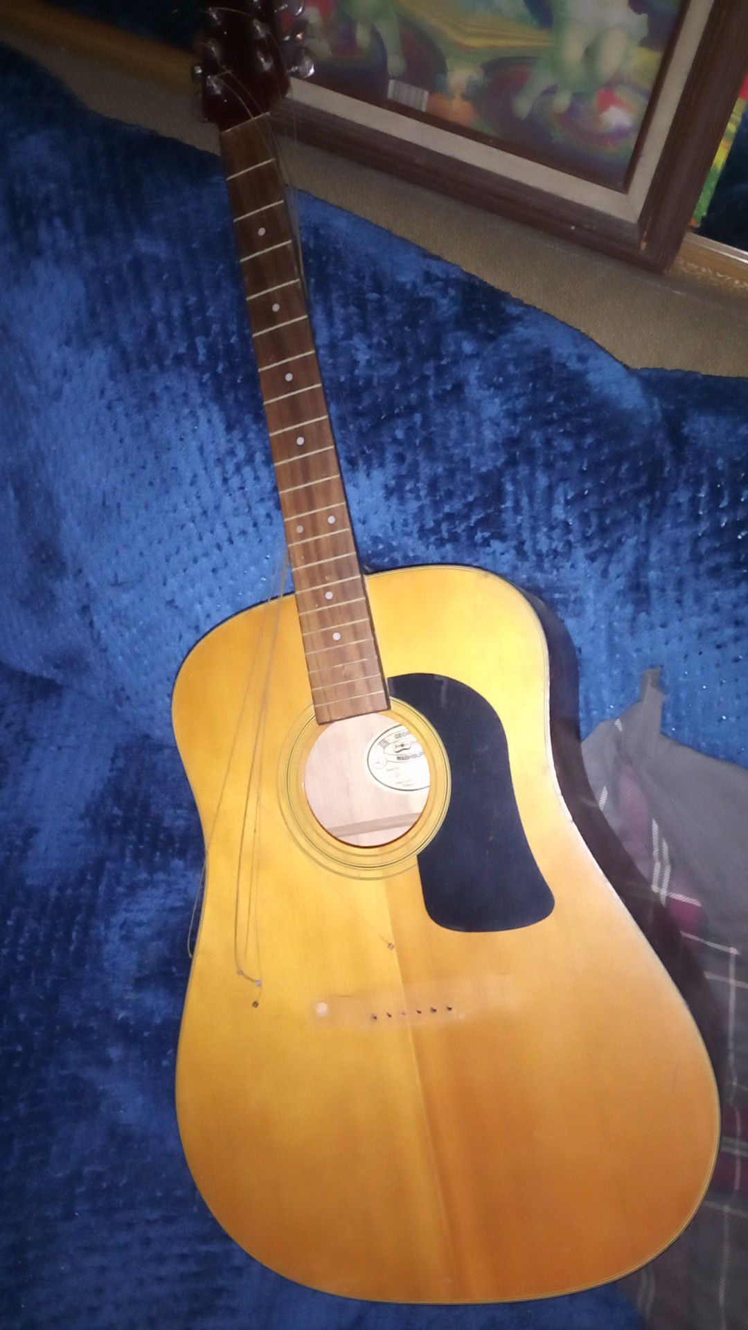 George Washburn acoustic guitar