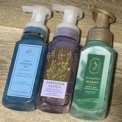 Bath And Body Works Foam Hand Soap Bundle