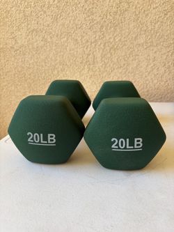 20LB neoprene-coated dumbbells set of 2