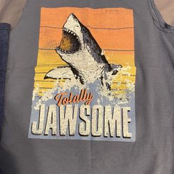 Boys Shark Tank