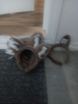 Great wolf logde wolf ears