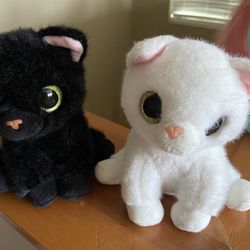 Cats Friends Talk and Make Sounds 