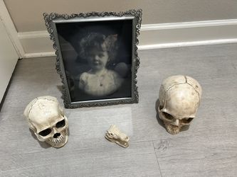 Skulls And Halloween Decorations 