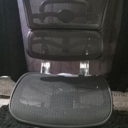 Raynor Ergohuman Mesh Chair