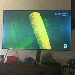 55 Inch Roku Tv With Stand 