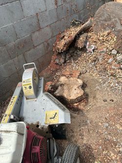 Stumps
