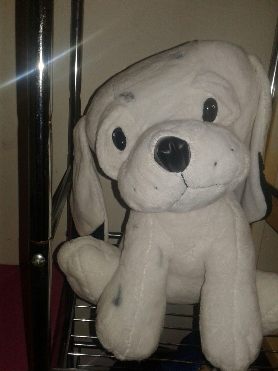Last day jumbo doggy