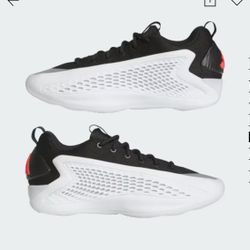 Anthony Edwards Size 12.5 