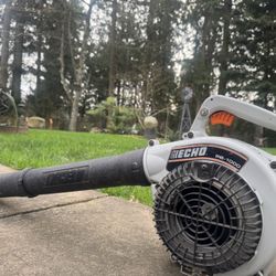 Echo PB-1000 lightweight handheld gas blower
